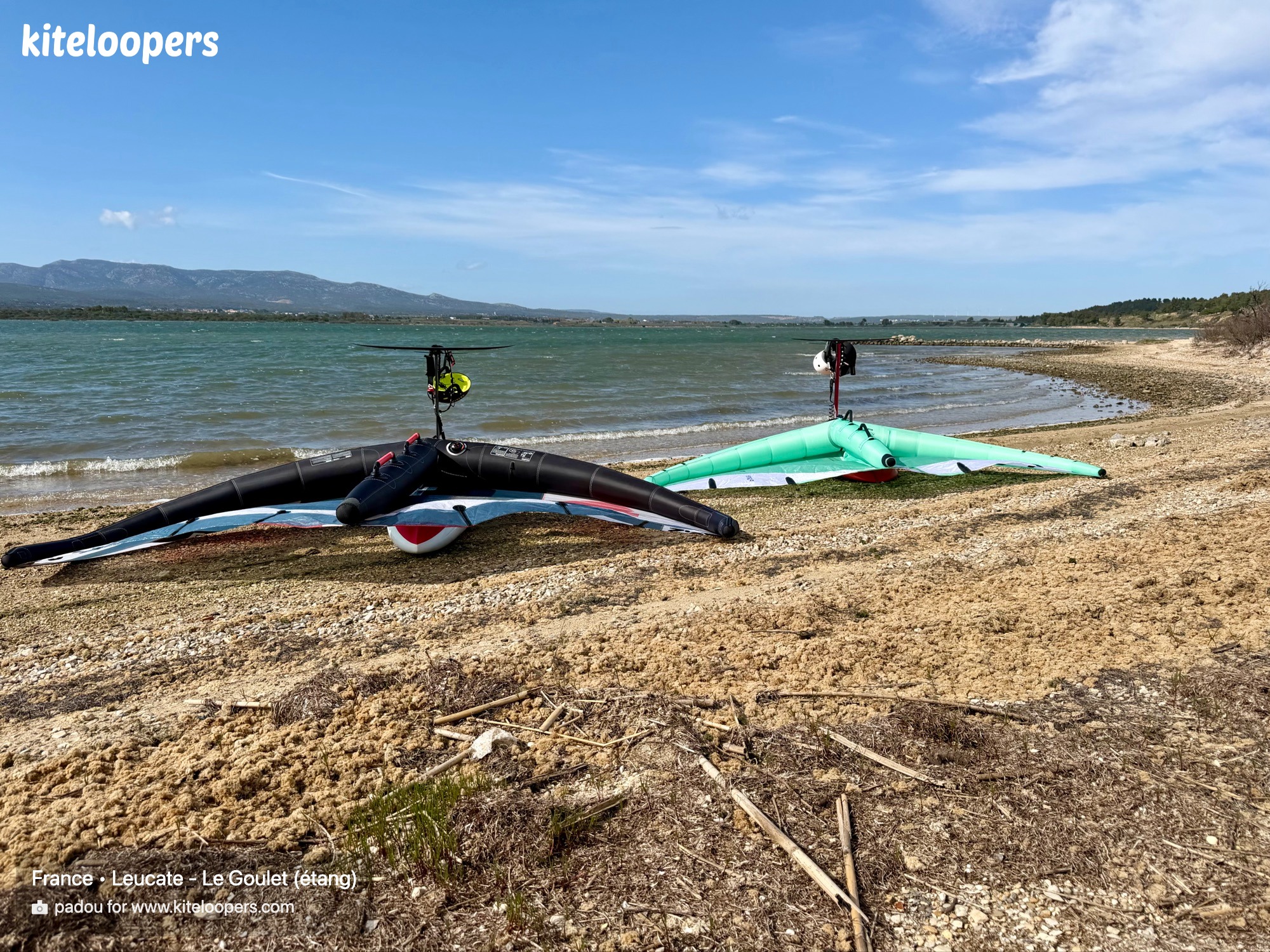 Leucate - Le Goulet (étang)